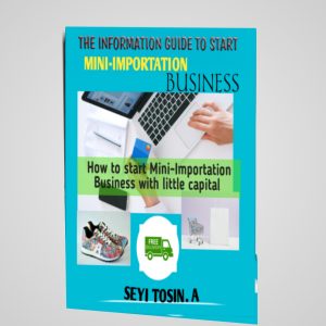 The Introduction Guide To Mini-importation Business